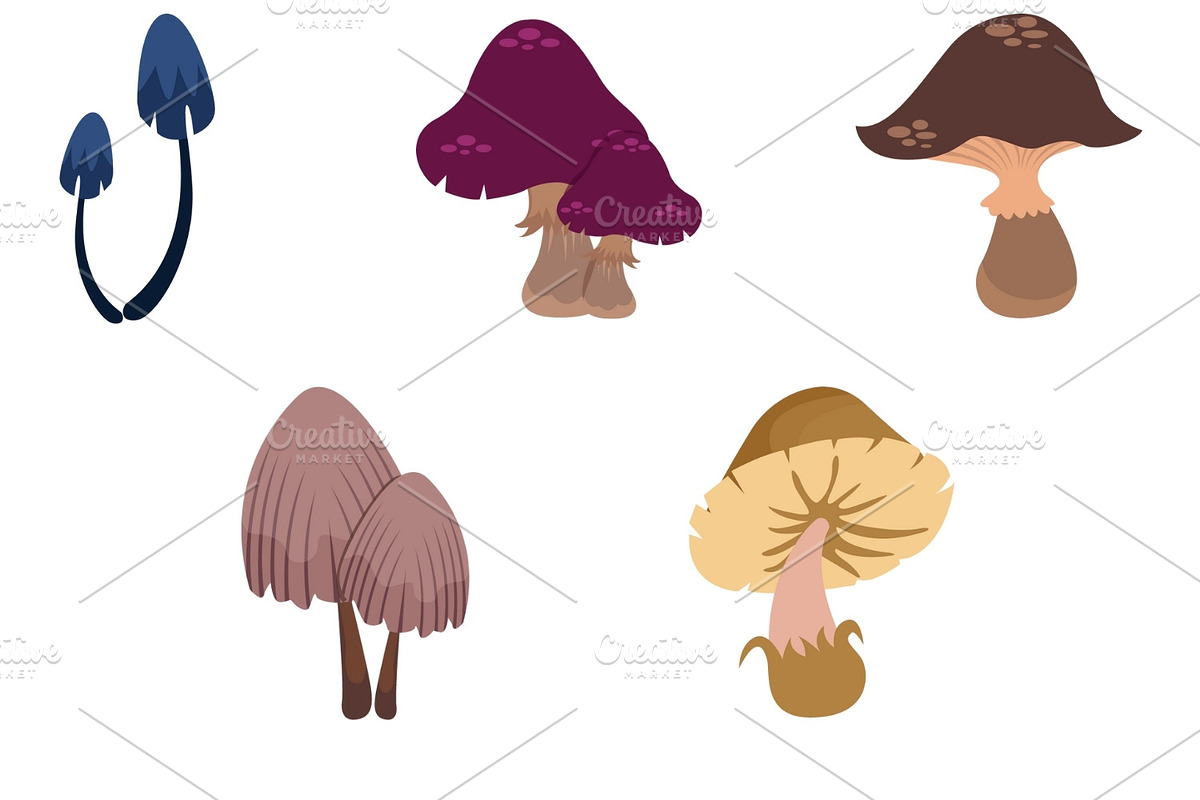 Mushroom Clipart Set, an Illustration by Expose_Adam (Photo 3 of 3)