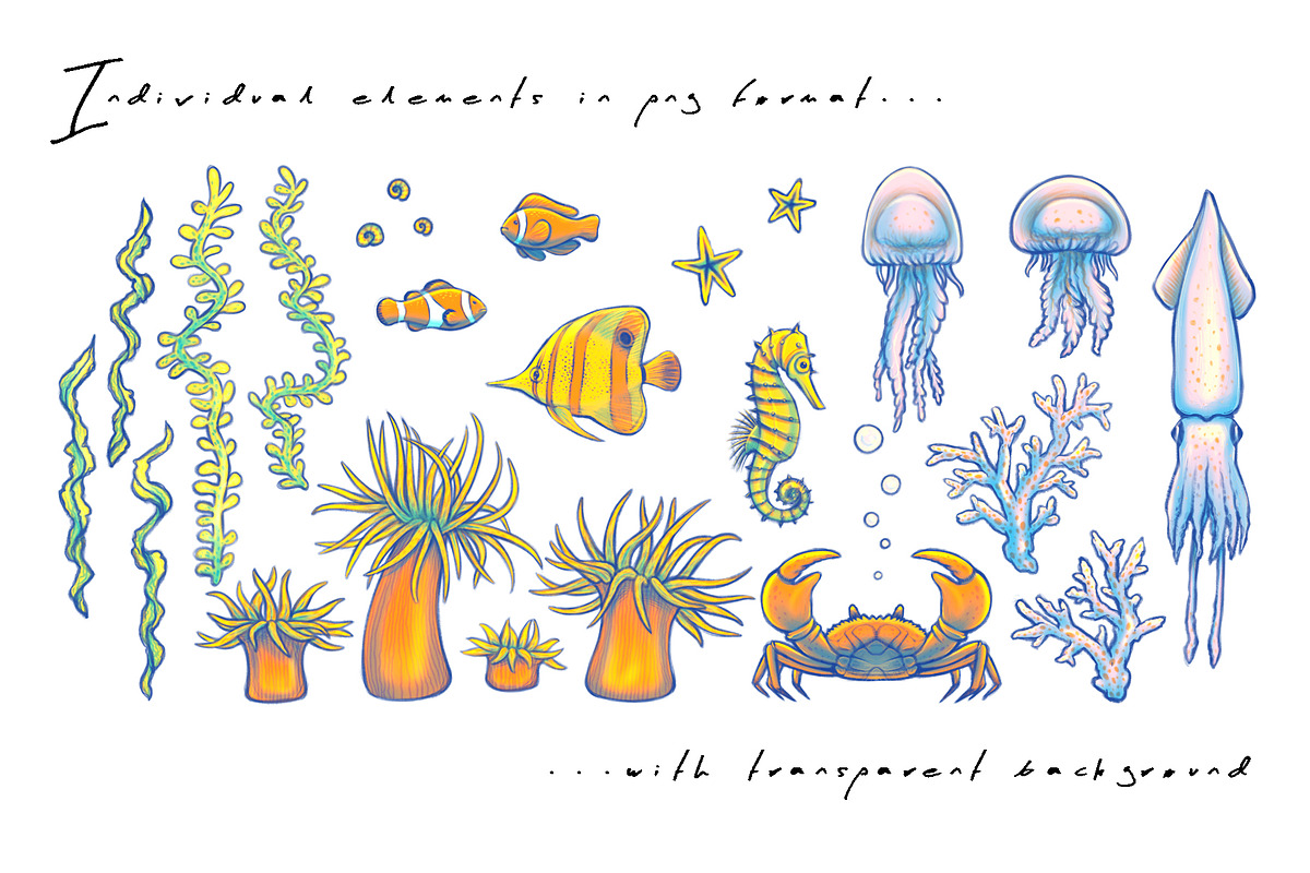 OCEAN Patterns & Clipart, a Decorative Illustration by Liiafis (Photo 7 of 15)