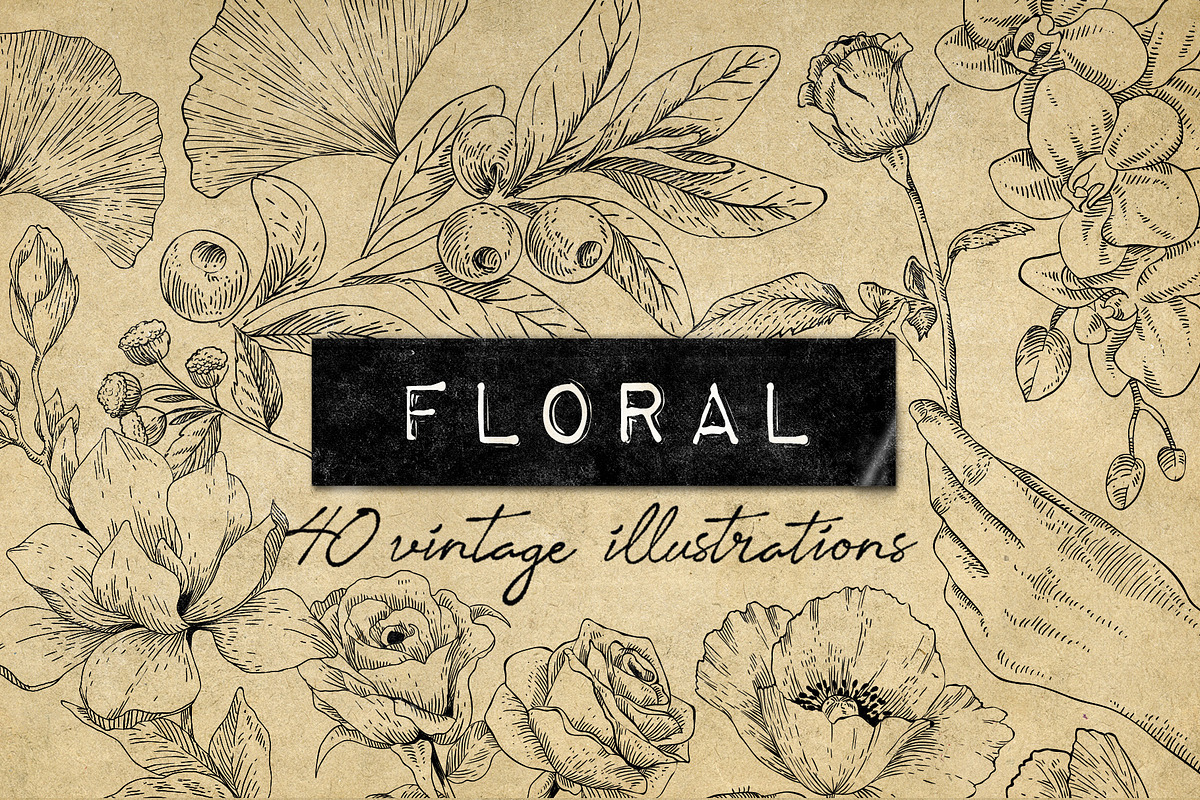 40 Vintage Floral Illustrations, an Illustration by Hatch Design Workshop (Photo 1 of 15)