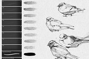 Drawing & Pencil Procreate Brushes, a Brush Add-On by BrushArchive (Thumbnail 5 of 7)