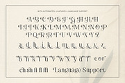 Blissful Sunshine - Romantic Swash, a Serif Font by Shakira Studio (Thumbnail 9 of 10)