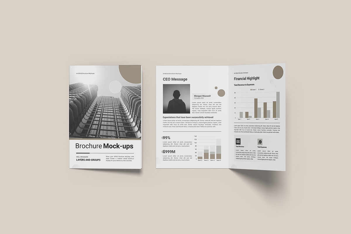 A4 Bifold Brochure Mockups, a Brochure Template by Graphic Aesthetic (Photo 9 of 21)