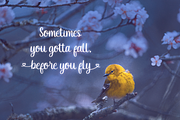 Eveliana - Lovely Script Font, a Script Font by Pixesia Studio (Thumbnail 3 of 10)