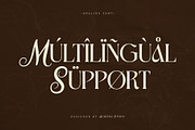 Opaline – Display Serif Script, a Font by Almeera Std (Thumbnail 7 of 10)