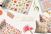 Australian Wild Flowers Collection, an Illustration by Sketchbook Designs (Thumbnail 10 of 10)