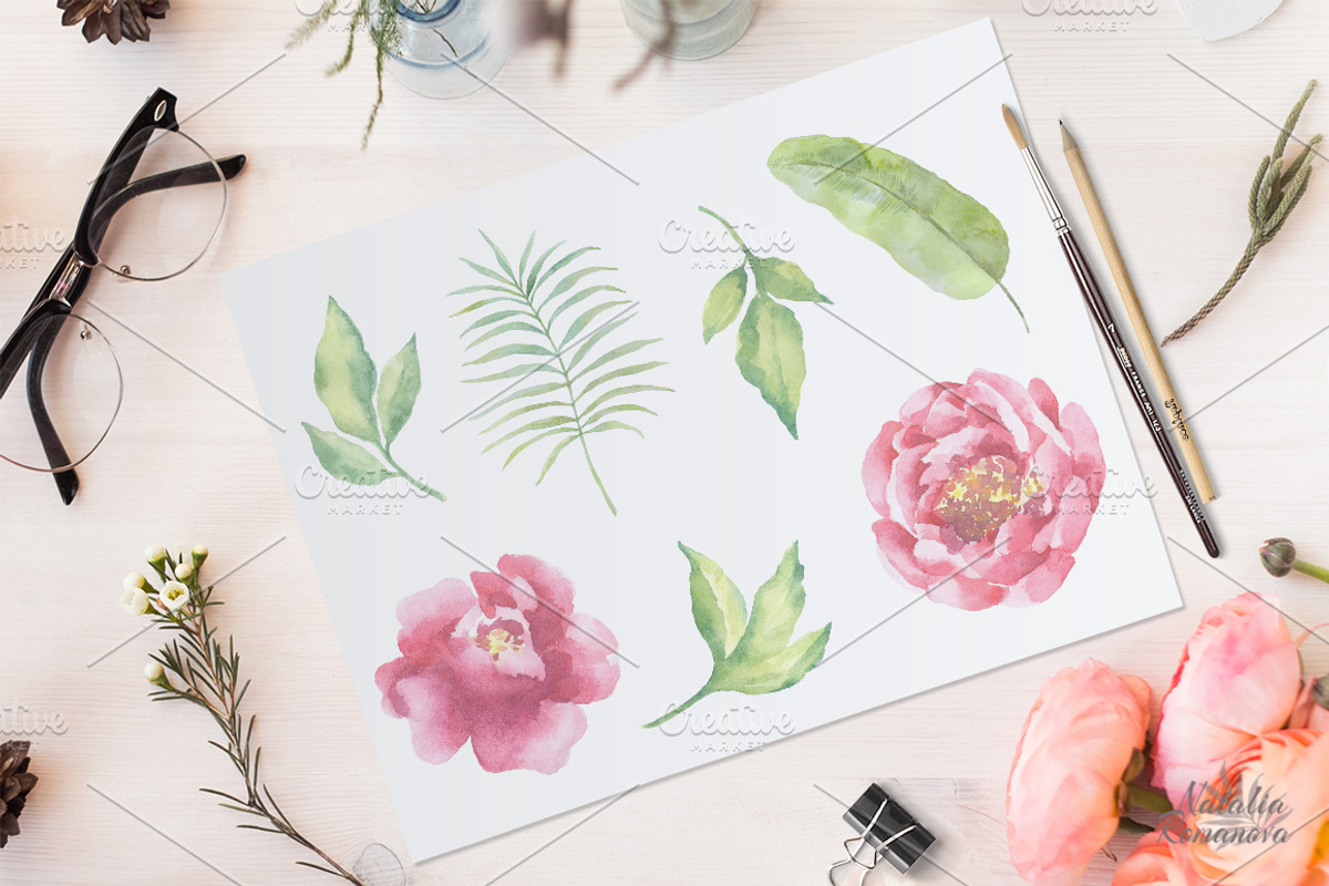 Watercolor Peonies set, a Decorative Illustration by BrushArtDesigns (Photo 2 of 9)