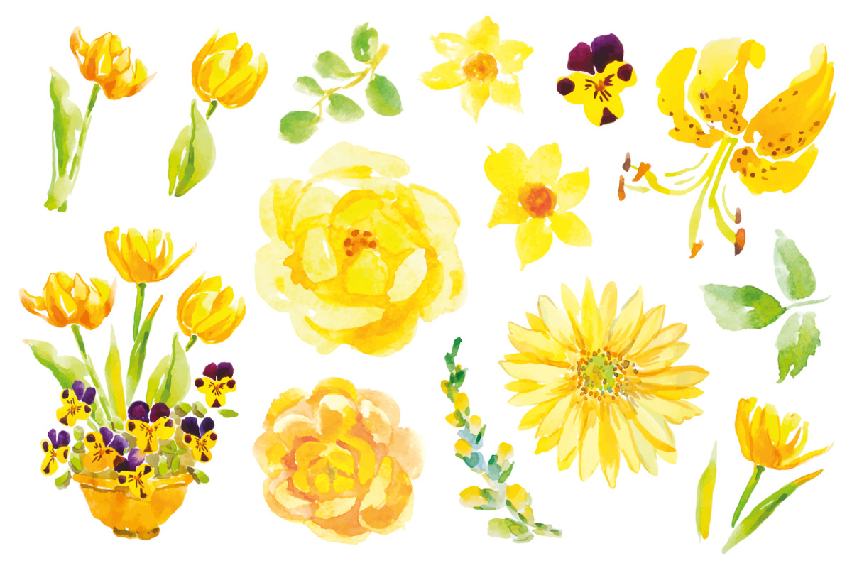 Yellow flowers clip art, an Illustration by OJardin (Photo 2 of 2)