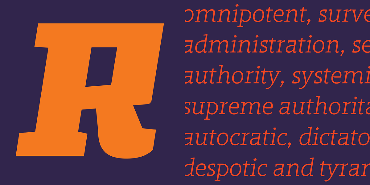 Regime, a Slab Serif Font by Barnbrook Fonts (Photo 6 of 7)
