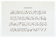 Pitholica Delicate Classic Script, a Script Font by gracetype_studio (Thumbnail 10 of 11)