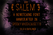 BSD Salem Font, a Sans Serif Font by Blue Sky Design (Thumbnail 1 of 2)