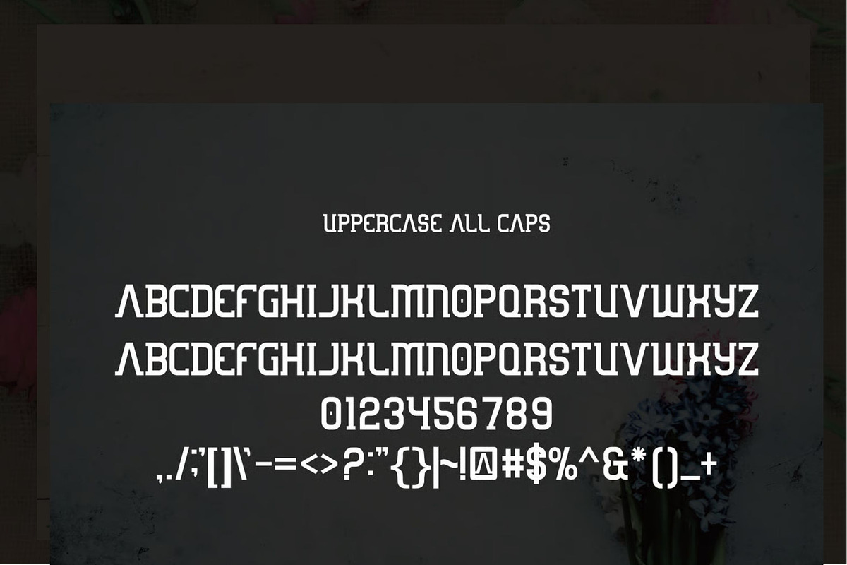Vavawami, a Serif Font by Auliacreative (Photo 2 of 4)