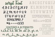 Letterman Jacket, Sports Font Trio, a Script Font by Designing Digitals (Thumbnail 5 of 9)