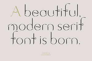 Cloudforest. Chic, Modern Serif Font