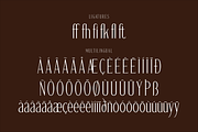 Gadnesh Meteora A Modern Serif, a Serif Font by Storytype Studio (Thumbnail 14 of 15)