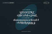 Electroblitz - Modern Serif, a Serif Font by Brightone (Thumbnail 3 of 9)