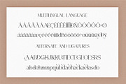 Rasefa || Vintage Serif Font, a Serif Font by Idea Studio (Thumbnail 9 of 10)