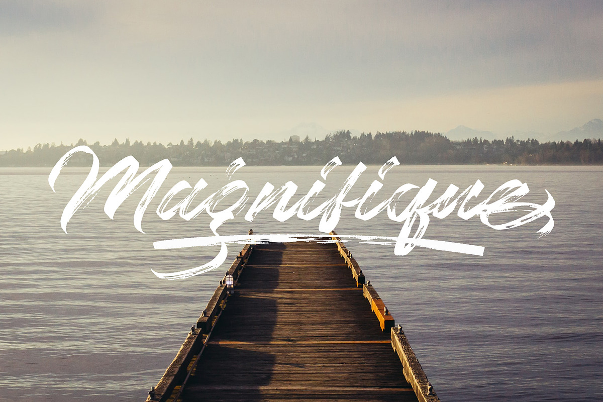Chaletliness | Modern Script Brush, a Script Font by Madhaline Studio (Photo 9 of 15)