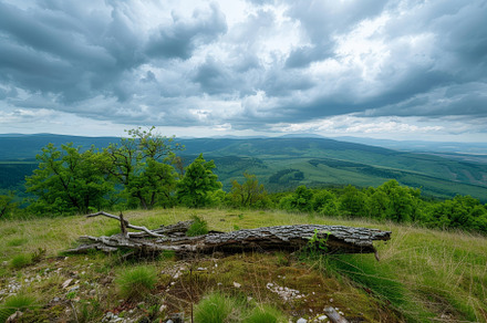 Lush Green Hills Under a Cloudy Sky, a Photo by Tanuart