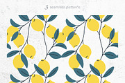 Lemon Cliparts, Frames & Patterns, a Decorative Illustration by Panna Limon Store (Thumbnail 13 of 18)