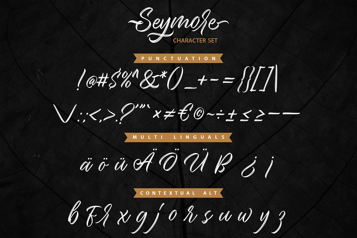 Seymore – Brush Script Font, a Script Font by Typefactoryco (Photo 10 of 12)
