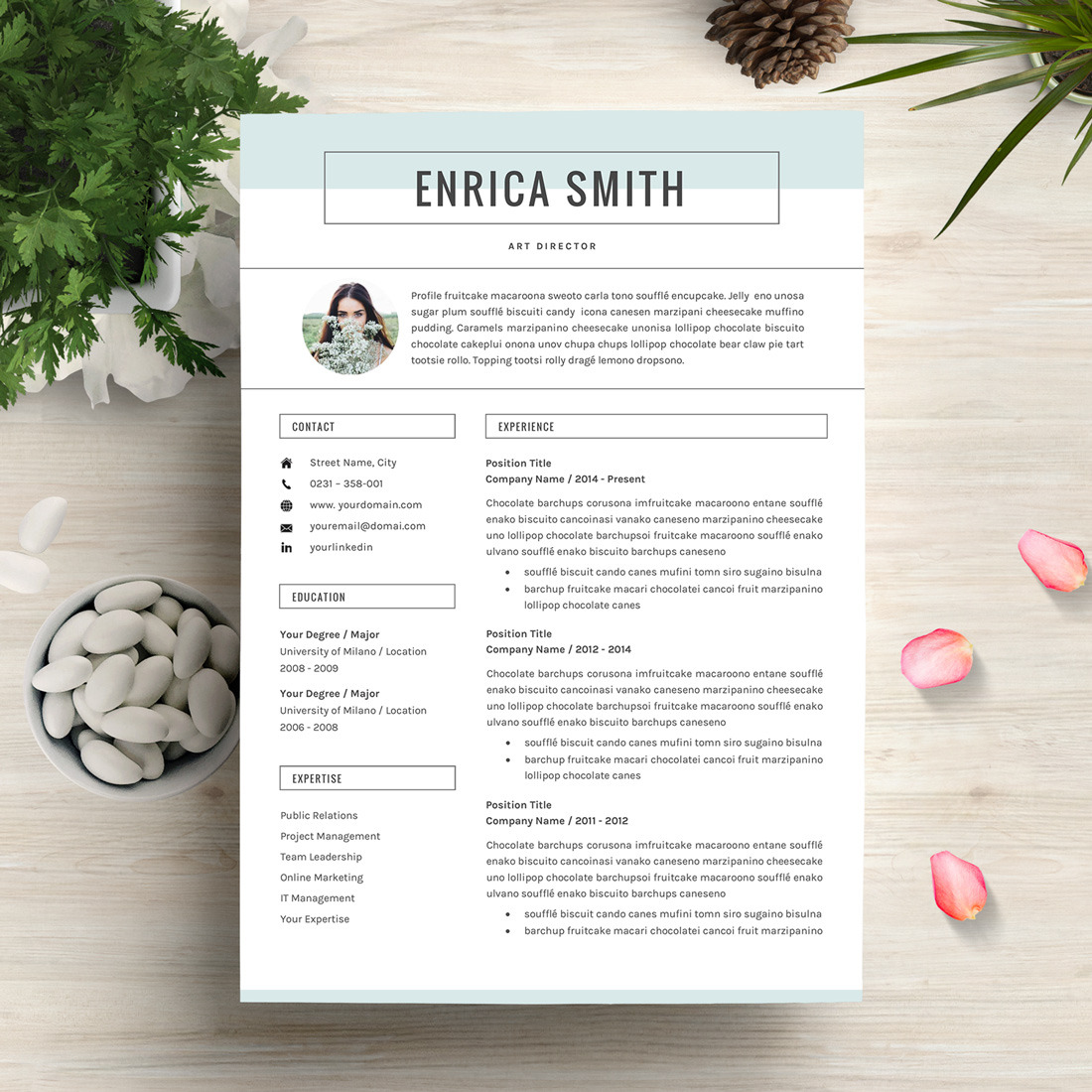 Professional Resume/CV Template, a Resume Template by GResume