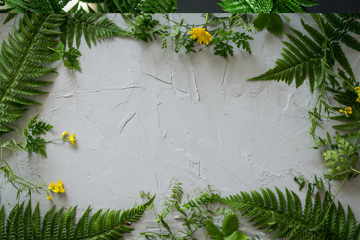 Forest plant background photo bundle, an Abstract Photo by Lum3n (Photo 2 of 2)