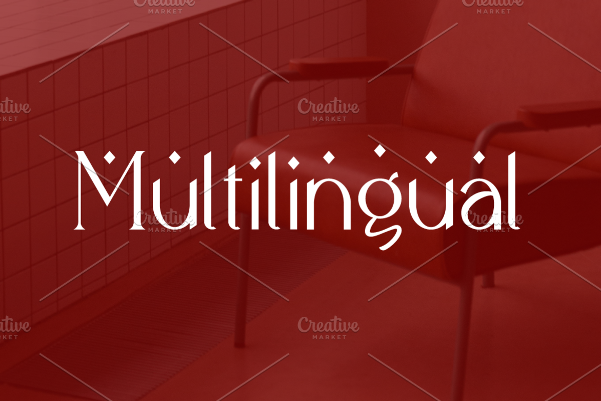 Meridian Premium Serif Font, a Serif Font by Artiveko (Photo 10 of 11)