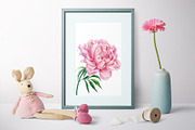 Garden Flowers hand drawn watercolor, a Decorative Illustration by Hanna Hryharenka (Thumbnail 12 of 16)