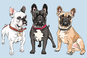 Vector Set French Bulldog Dogs