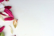 BUNDLES OF BLISS–Styled Stock Photos, a Product Mockup by Pepperbelle Tinkers (Thumbnail 3 of 9)