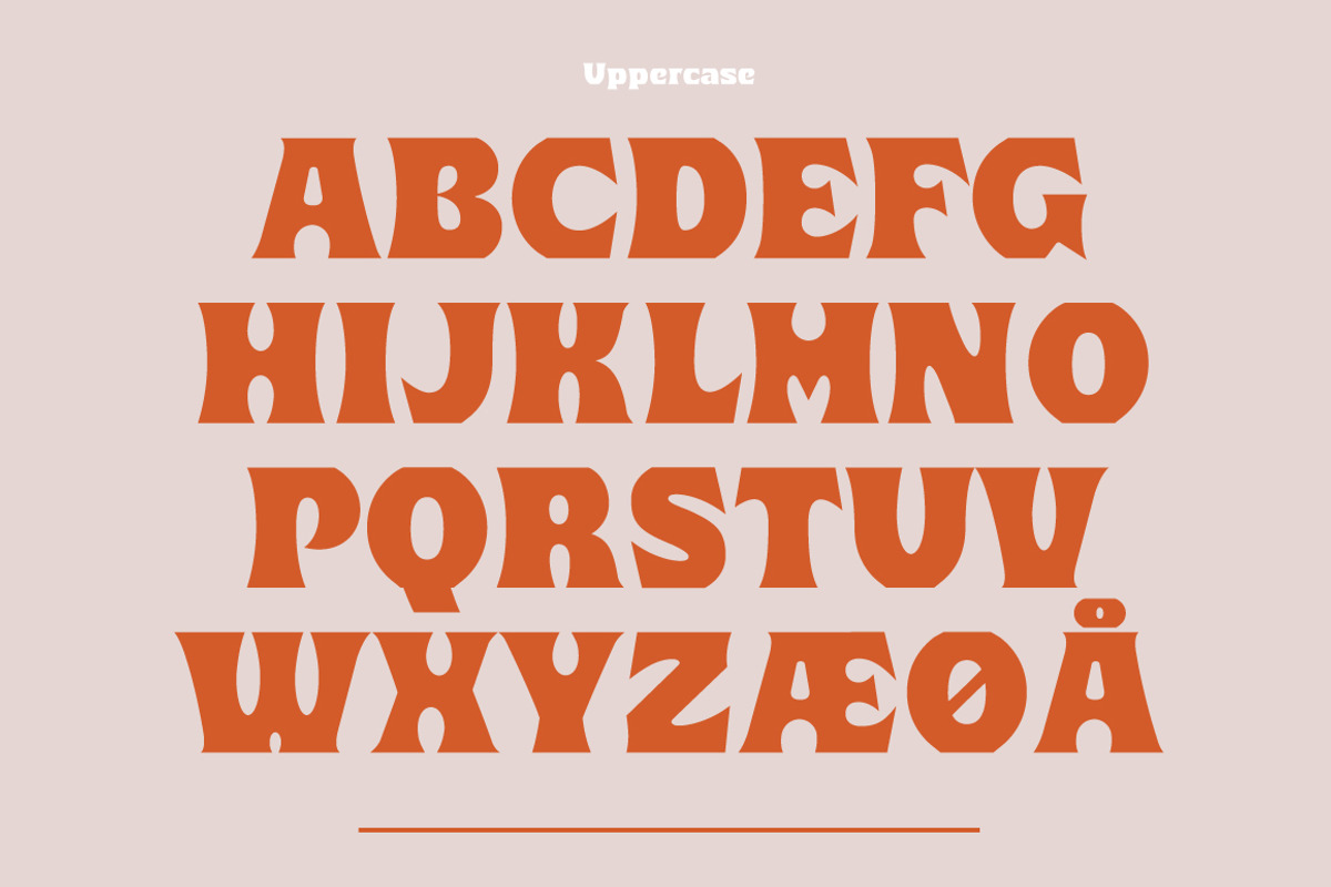 Lauge, a Sans Serif Font by Jan-Christian Bruun (Photo 2 of 14)