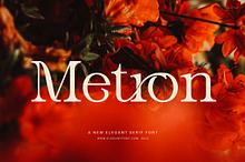 Metron Elegant Serif Font