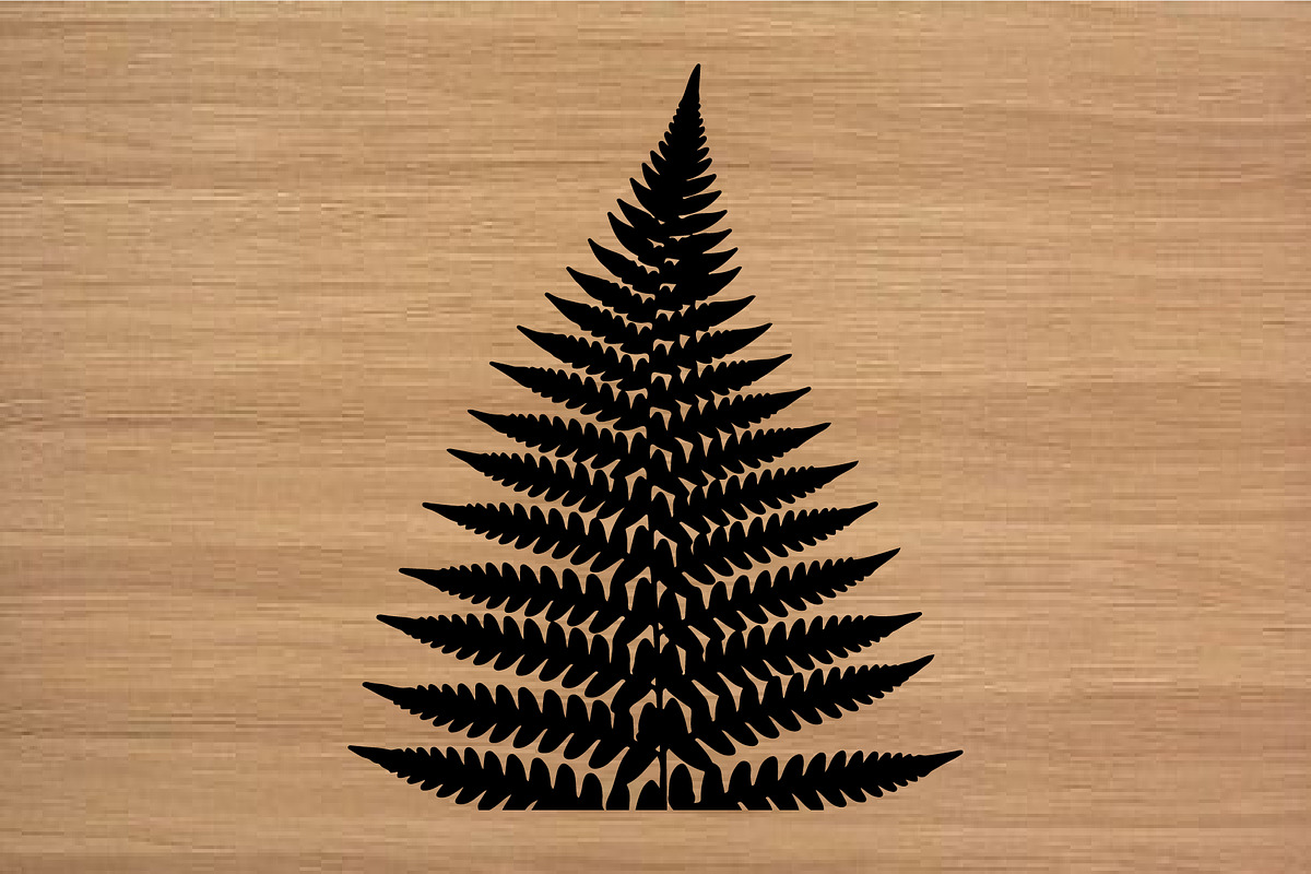 50 Fern Leaf Silhouette Clipart Set, an Illustration by Artivon (Photo 2 of 4)