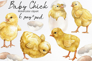 Watercolor easter chicken clipart