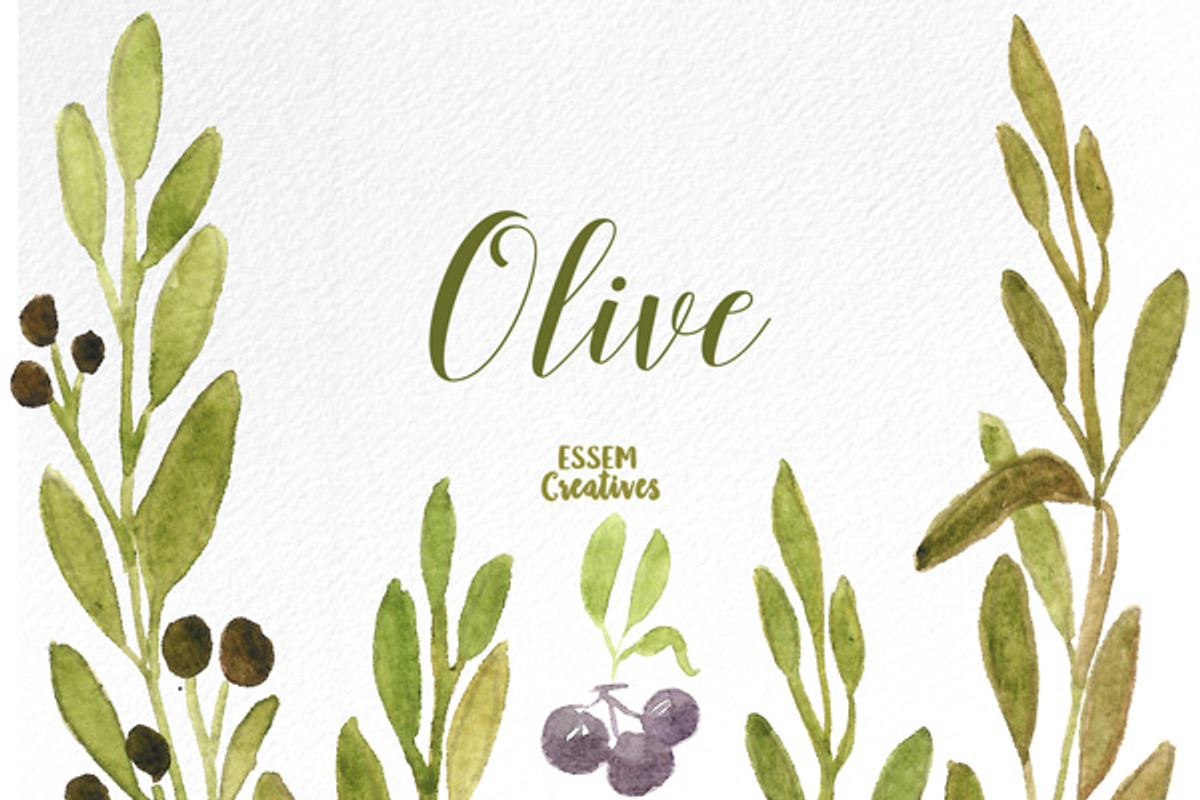 Watercolor Olive Branches and Leaves, an Illustration by Essem Creatives (Photo 3 of 3)