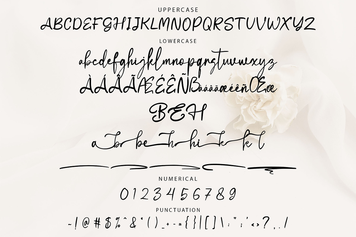 Antellove Feminine Script Font, a Script Font by NTC Graphic (Photo 8 of 9)