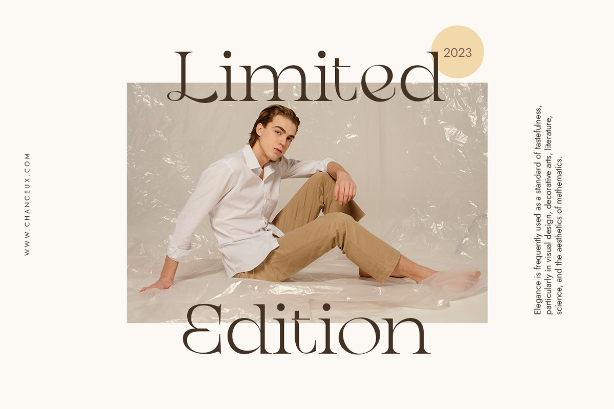 Chanceux Modern Stylish Serif, a Serif Font by Creatype Studio (Photo 2 of 10)
