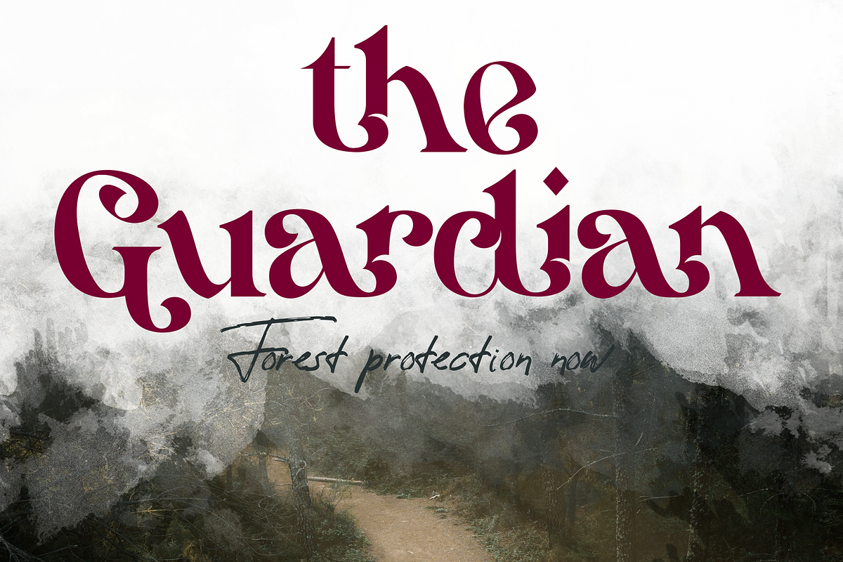Hamachi Font, a Serif Font by 177Studio (Photo 2 of 8)