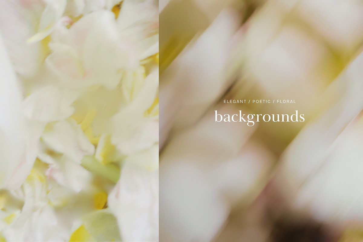 Soft Floral Spring Blur Backgrounds, a Background Graphic by eclosque (Photo 5 of 48)