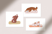 Cute cats on pet beds, cushions set, an Animal Illustration by Good Studio (Thumbnail 5 of 5)