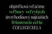 Falèfion – (14 Styles), a Serif Font by Madjack.font (Thumbnail 4 of 11)