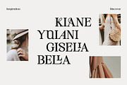 Fergina Modern Ligature Font, a Serif Font by RantautypeStudio (Thumbnail 10 of 15)