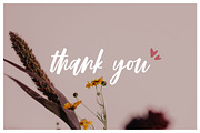 Mirabelle - Modern Script + Extras, a Script Font by Typehand Studio (Thumbnail 10 of 10)