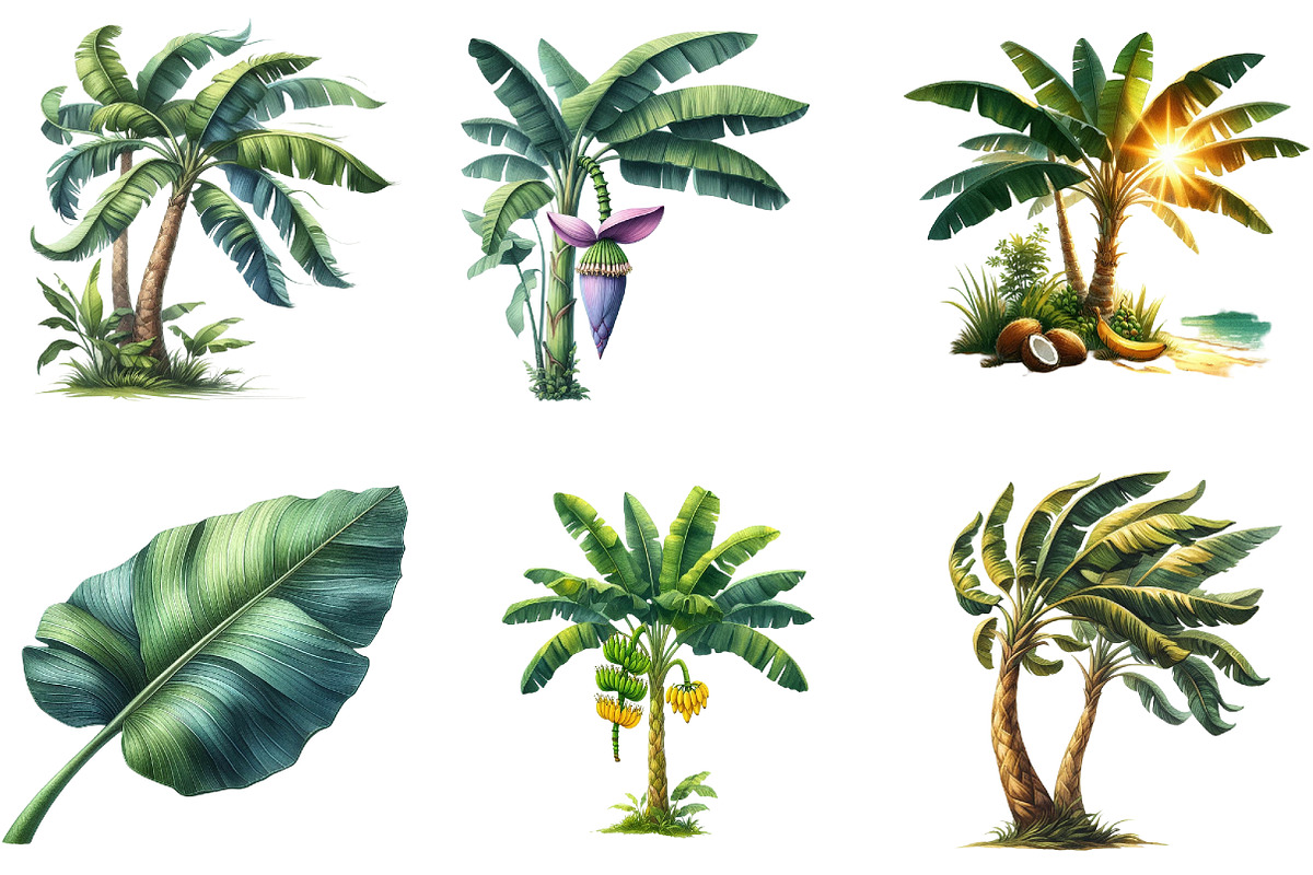 Banana Tree Free Clipart, an Illustration by DreamArtGraphic (Photo 2 of 7)