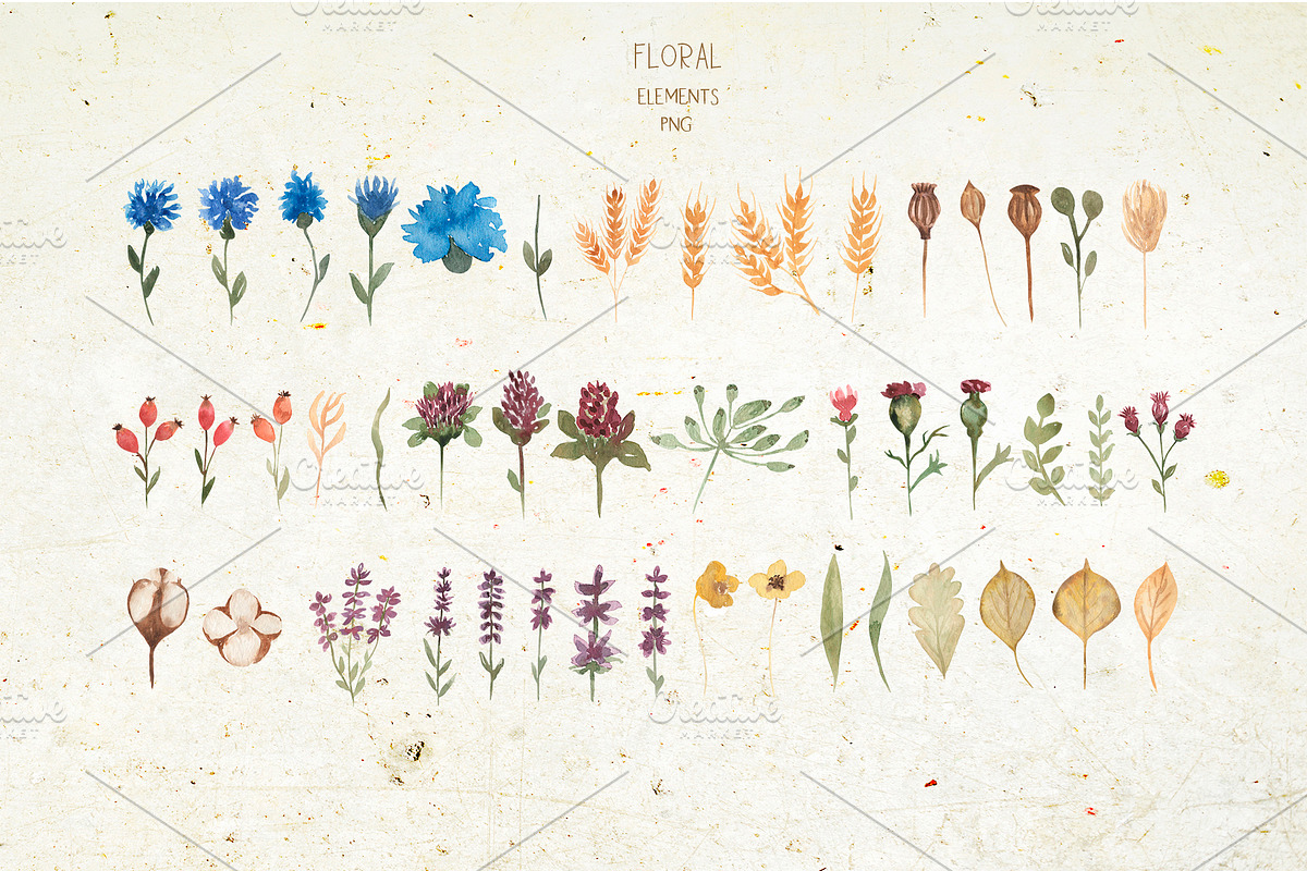 Wildflower bouquet, a Decorative Illustration by MayaNavits (Photo 2 of 14)