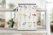 Watercolor Field Flowers Collection, a Decorative Illustration by MayaNavits (Thumbnail 16 of 16)