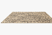 Joybird Demi Rug, a Furniture 3D Model by 3dmitruk (Thumbnail 8 of 15)