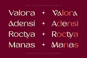 Barium - Luxury Elegant Beauty Sans, a Sans Serif Font by Typia Nesia (Thumbnail 4 of 11)