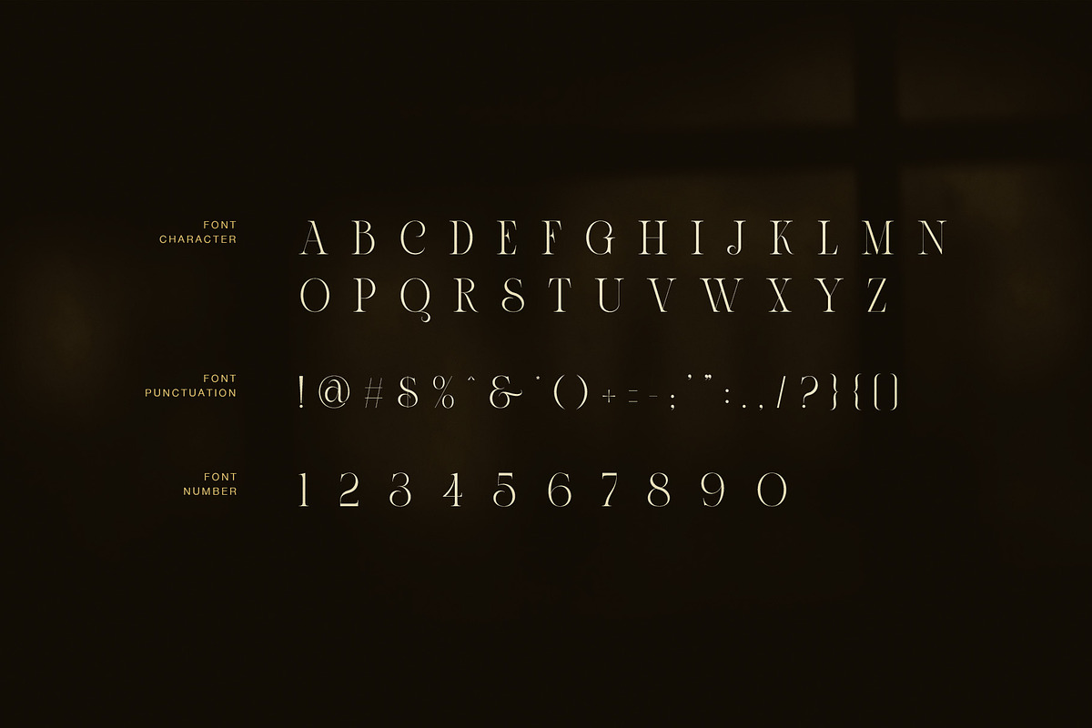 Ames uxury Serif Font, a Serif Font by Graphicxell (Photo 7 of 8)