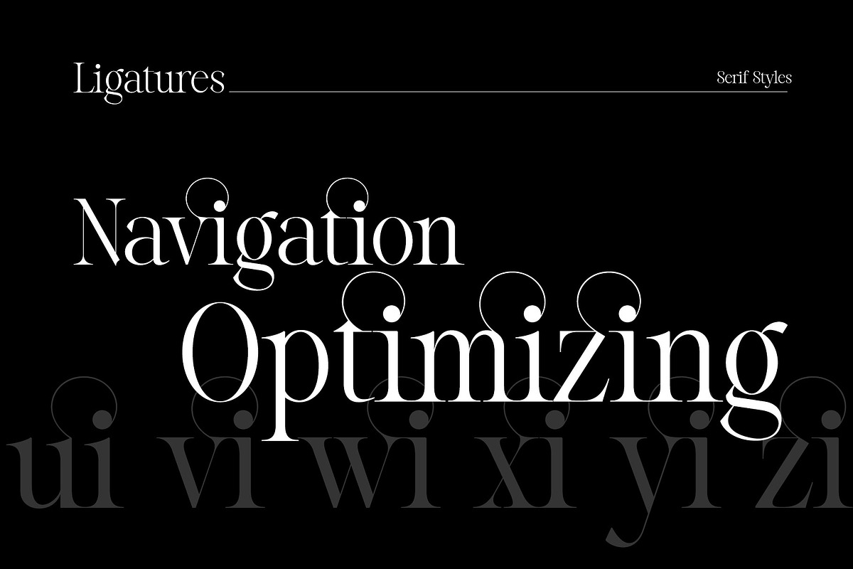 Reichamerina font family, a Serif Font by Ryul Davidson (Photo 20 of 27)